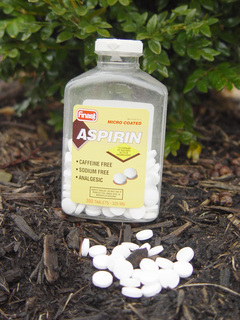 aspirin.jpg3_.jpg6_