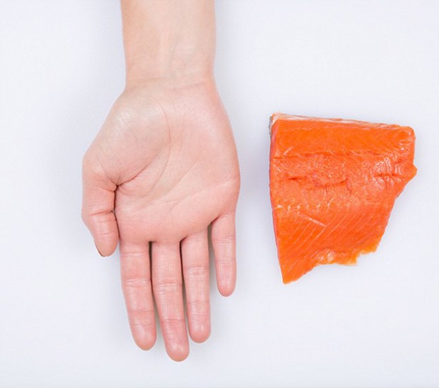 Salmon - feature on food portions