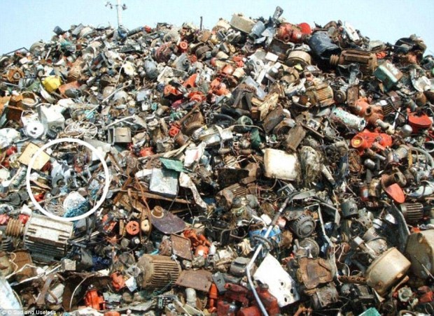 30577f6600000578-3406718-there_he_is_this_cat_is_climbing_across_a_mountain_of_rubbish_di-a-36_1453224782560